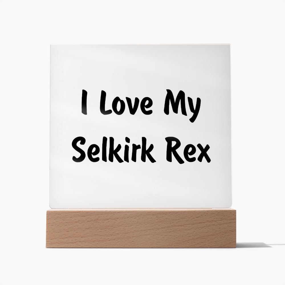 Love My Selkirk Rex - Square Acrylic Plaque