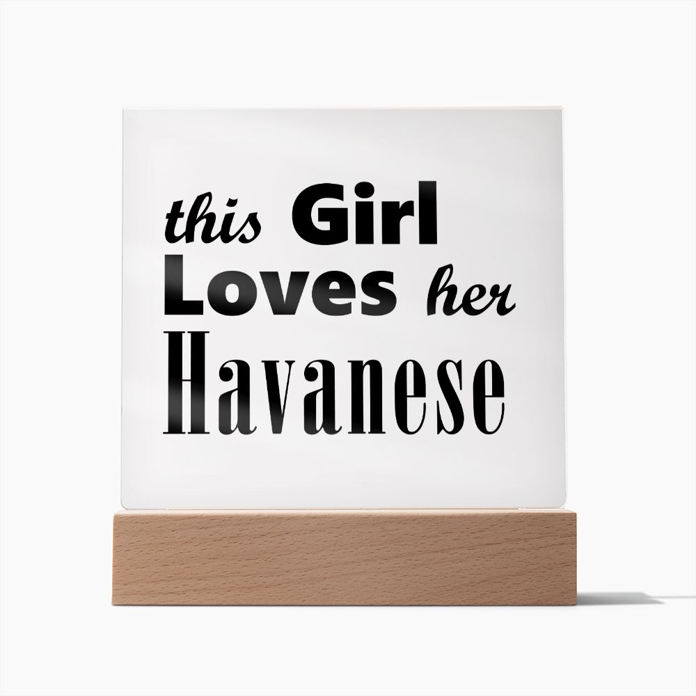 Havanese - Square Acrylic Plaque