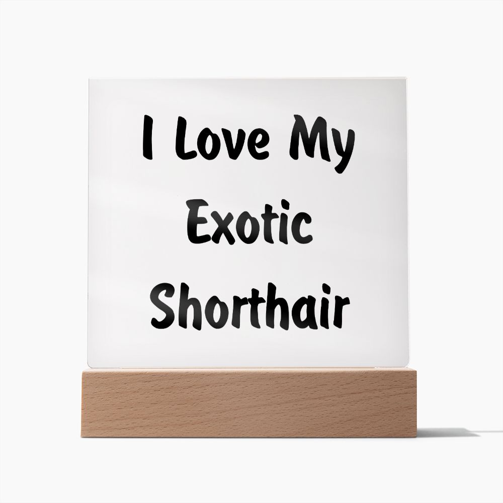 Love My Exotic Shorthair - Square Acrylic Plaque
