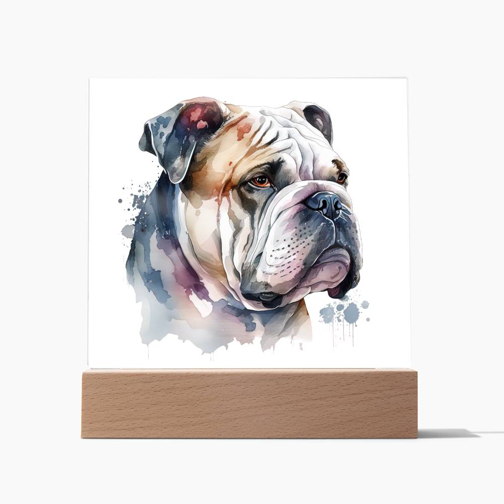 Bulldog (Watercolor) 01 - Square Acrylic Plaque