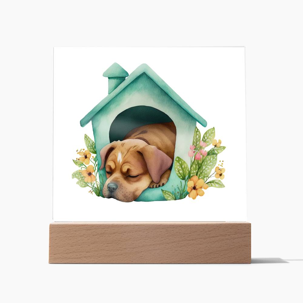 Dog Sleeping (Watercolor) 08 - Square Acrylic Plaque