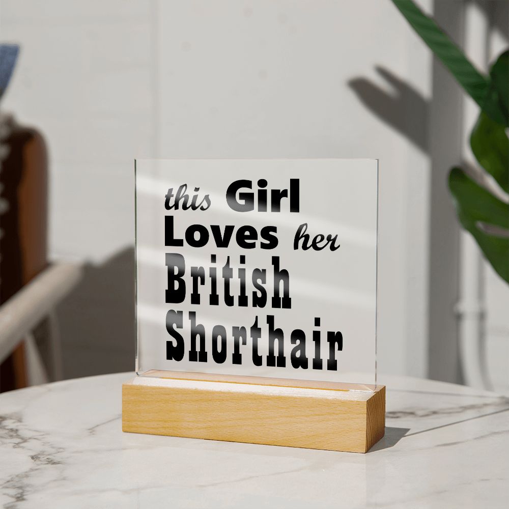 British Shorthair - Square Acrylic Plaque