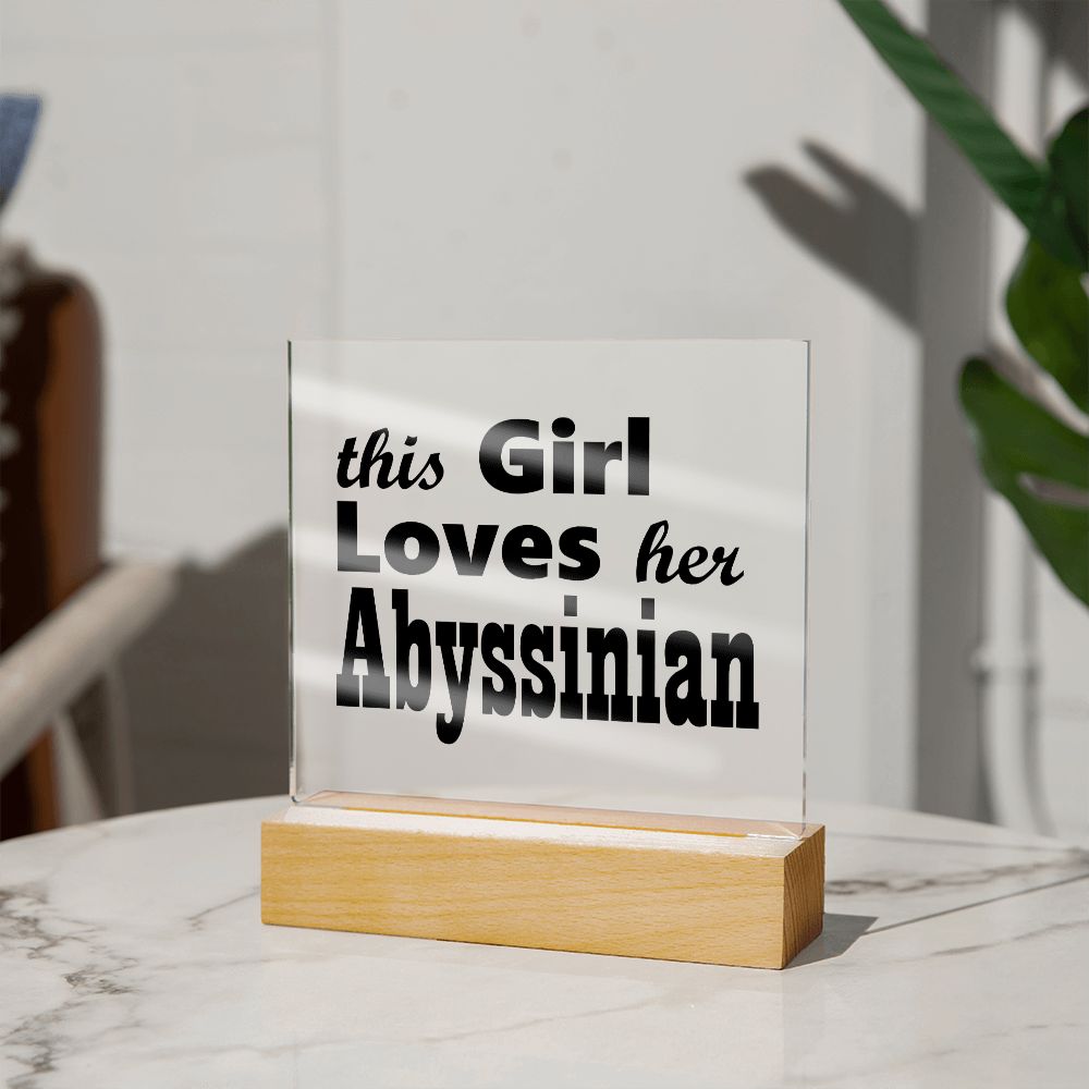 Abyssinian - Square Acrylic Plaque