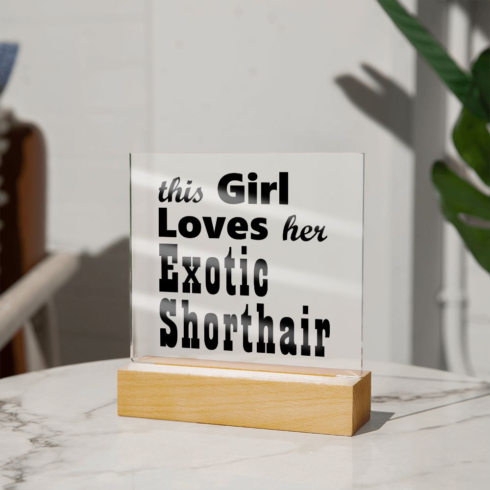 Exotic Shorthair - Square Acrylic Plaque