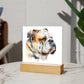 Bulldog (Watercolor) 05 - Square Acrylic Plaque