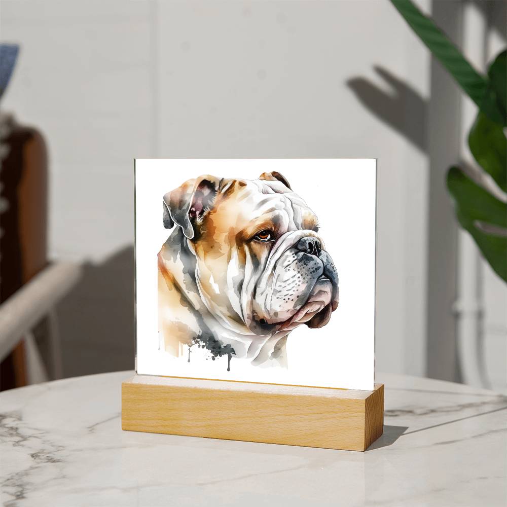 Bulldog (Watercolor) 05 - Square Acrylic Plaque