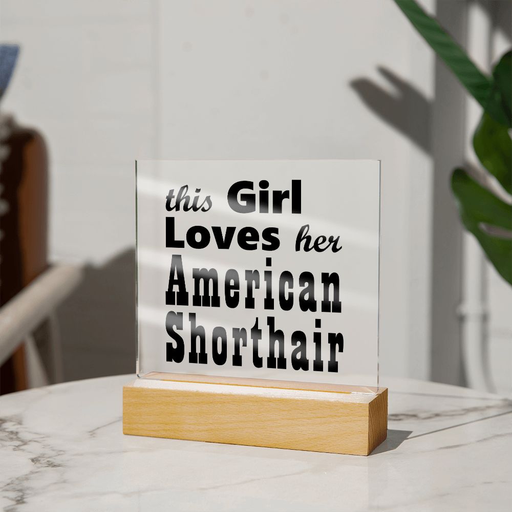 American Shorthair - Square Acrylic Plaque