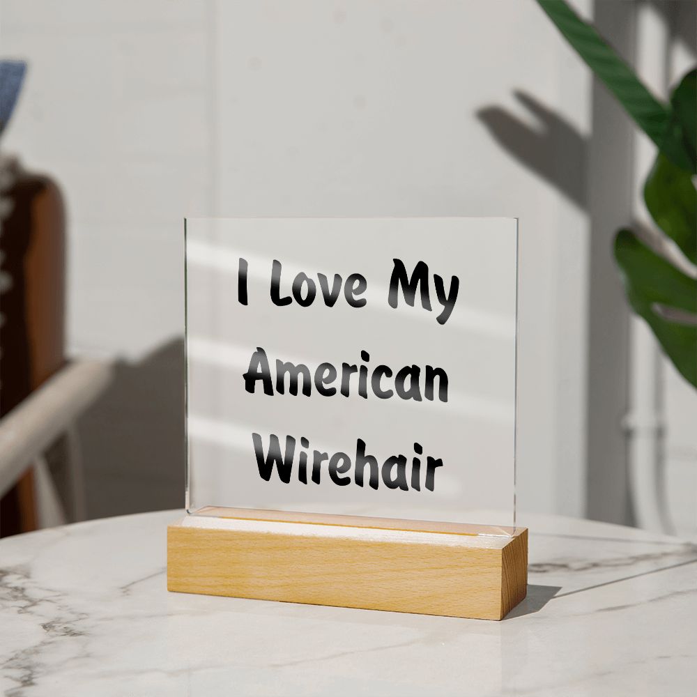 Love My American Wirehair - Square Acrylic Plaque