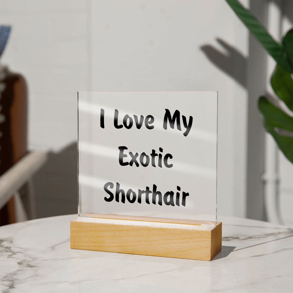 Love My Exotic Shorthair - Square Acrylic Plaque