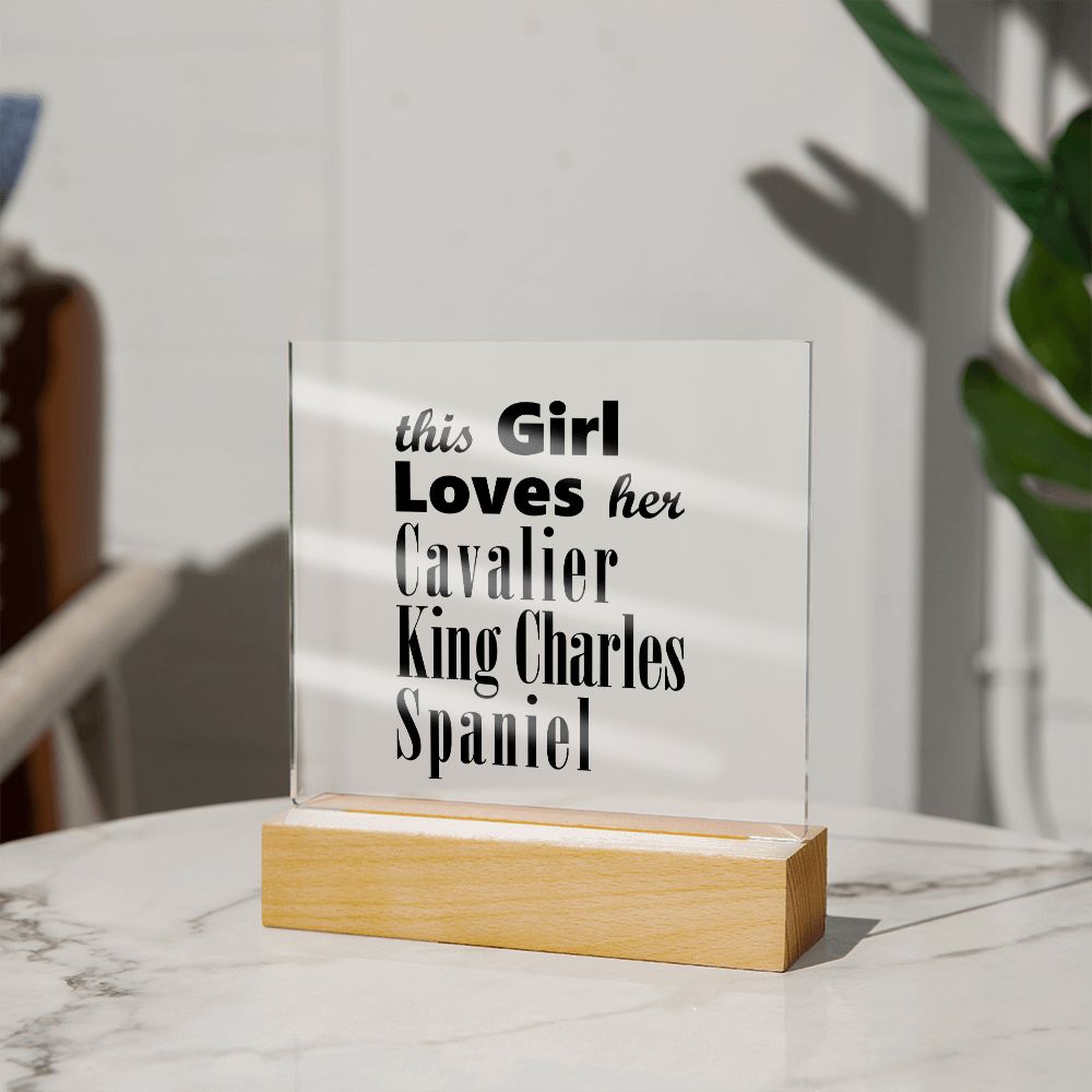 Cavalier King Charles Spaniel - Square Acrylic Plaque