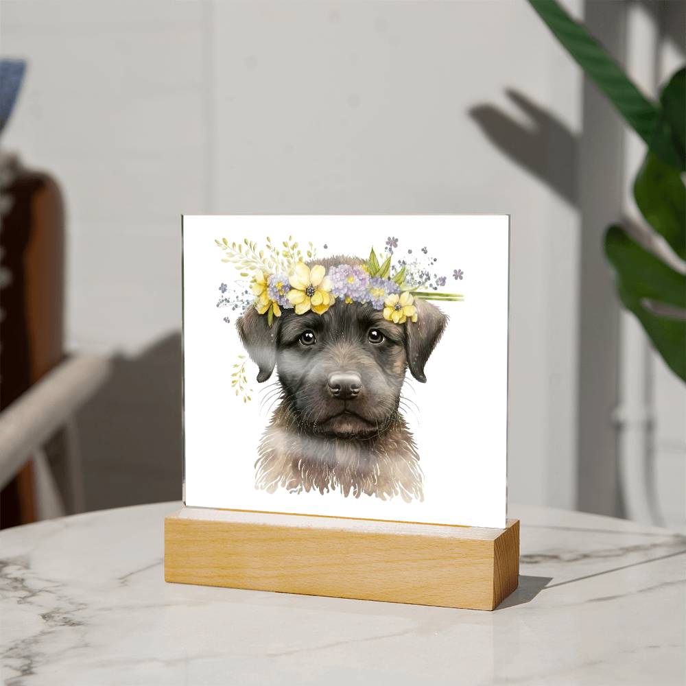 Dog And Spring Flowers (Watercolor) 08 - Square Acrylic Plaque