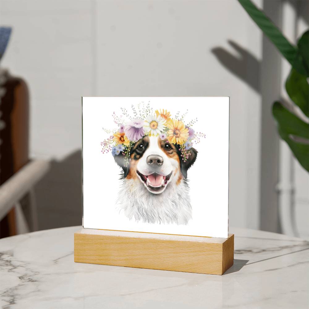 Dog And Spring Flowers (Watercolor) 09 - Square Acrylic Plaque