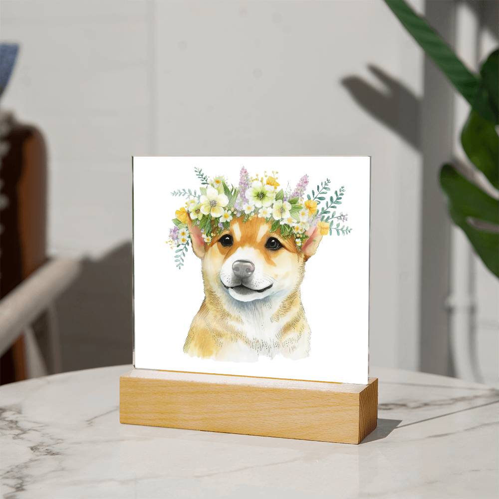 Dog And Spring Flowers (Watercolor) 06 - Square Acrylic Plaque