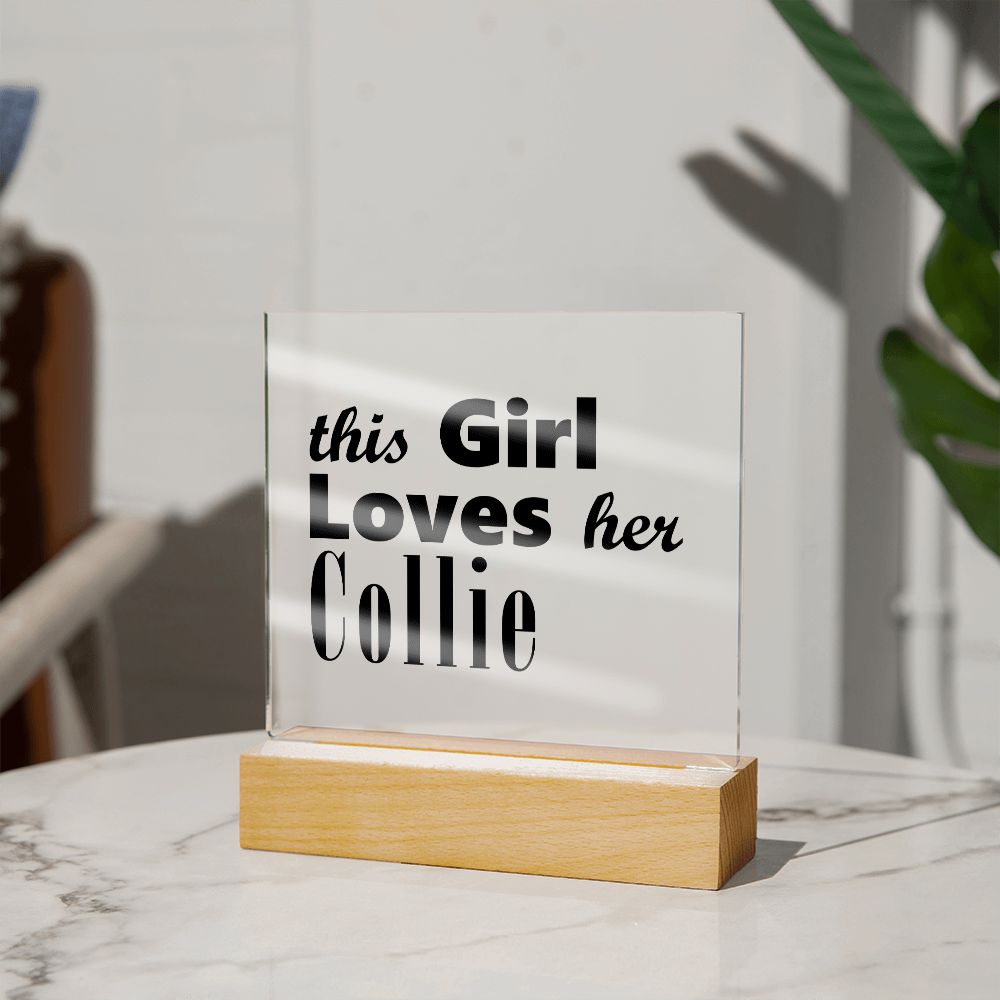 Collie - Square Acrylic Plaque