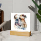 Bulldog (Watercolor) 04 - Square Acrylic Plaque