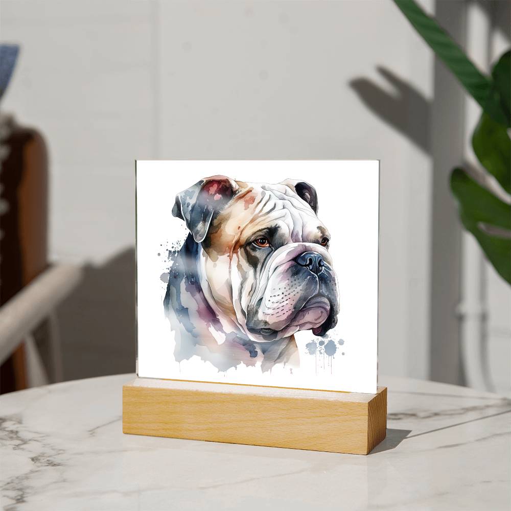 Bulldog (Watercolor) 01 - Square Acrylic Plaque