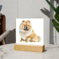 Dog Lover Collection (Watercolor) 06 - Square Acrylic Plaque