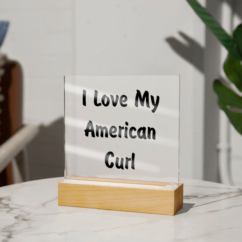 Love My American Curl - Square Acrylic Plaque