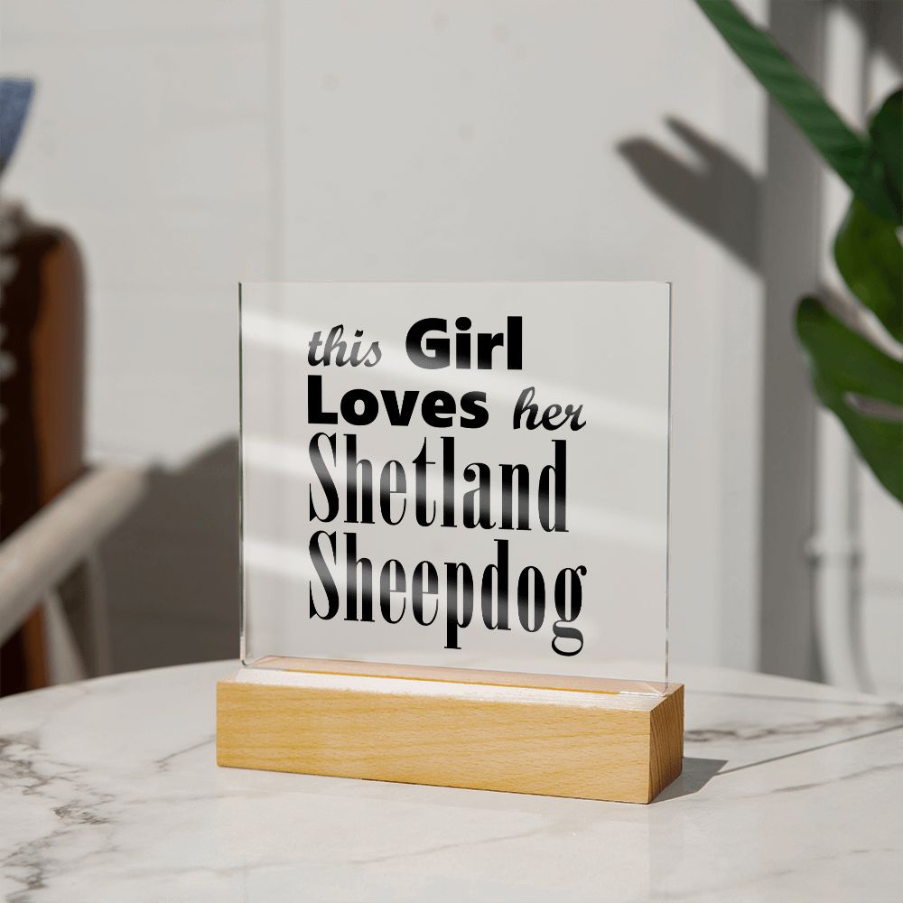 Shetland Sheepdog - Square Acrylic Plaque