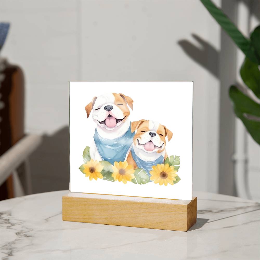 Bulldog And Flowers (Watercolor) 05 - Square Acrylic Plaque