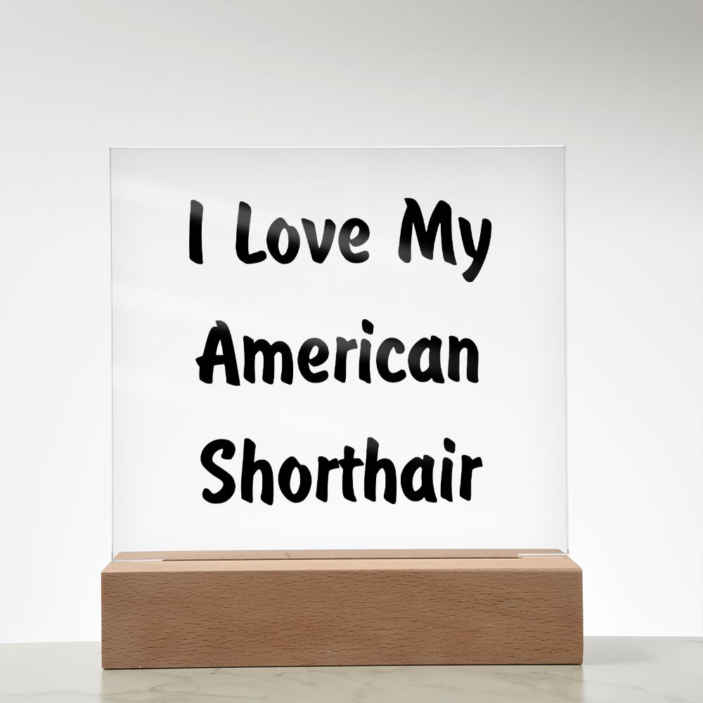 Love My American Shorthair - Square Acrylic Plaque