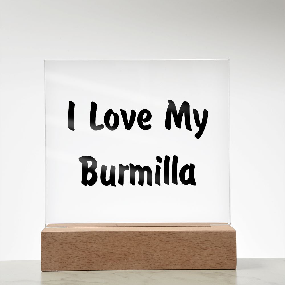 Love My Burmilla - Square Acrylic Plaque