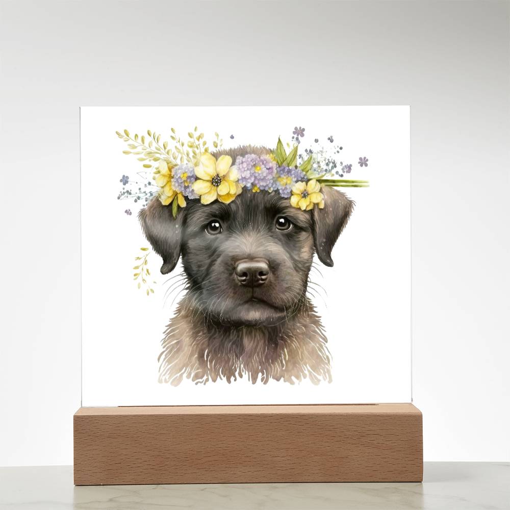 Dog And Spring Flowers (Watercolor) 08 - Square Acrylic Plaque