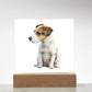 Dog Lover Collection (Watercolor) 10 - Square Acrylic Plaque