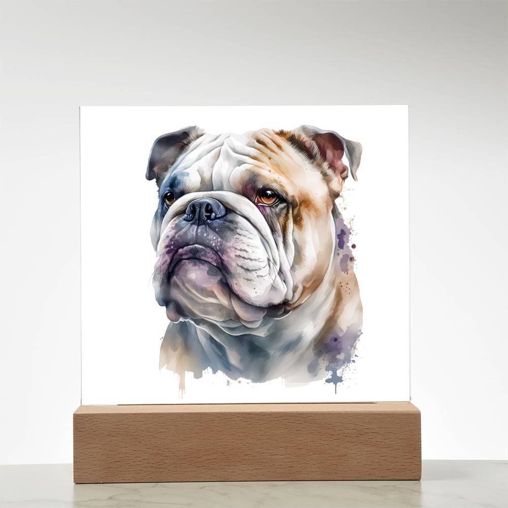 Bulldog (Watercolor) 02 - Square Acrylic Plaque