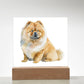 Dog Lover Collection (Watercolor) 06 - Square Acrylic Plaque