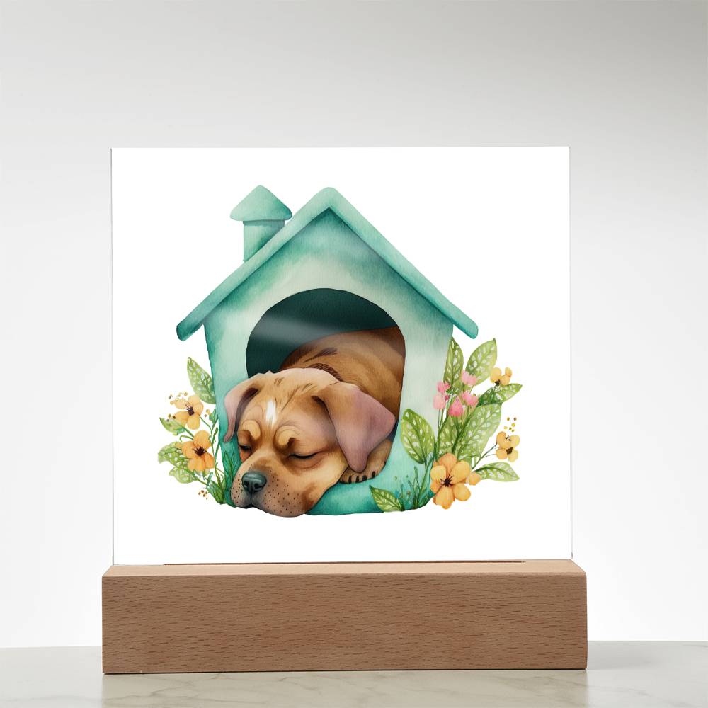 Dog Sleeping (Watercolor) 08 - Square Acrylic Plaque