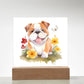 Bulldog And Flowers (Watercolor) 04 - Square Acrylic Plaque
