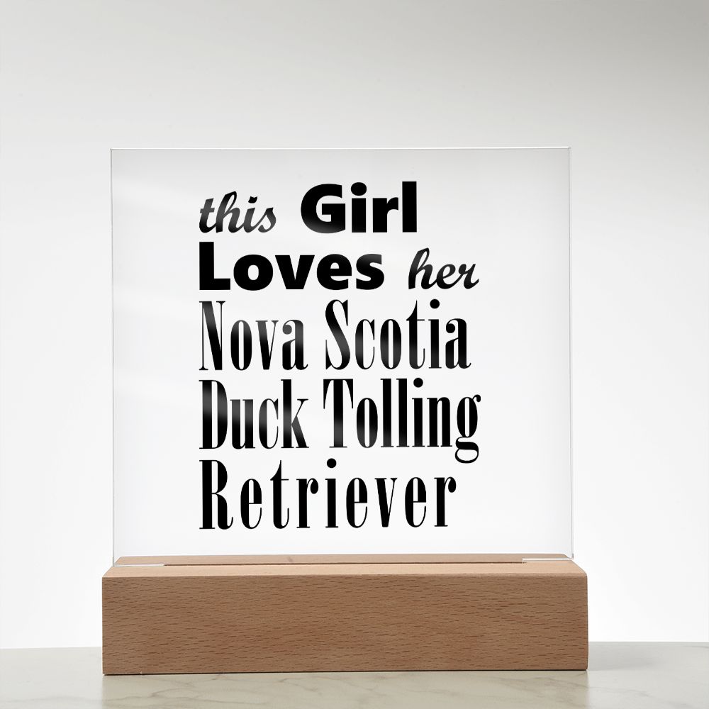 Nova Scotia Duck Tolling Retriever - Square Acrylic Plaque