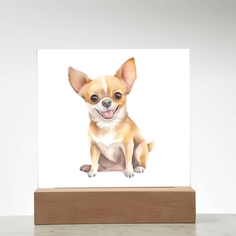 Chihuahua (Watercolor) 05 - Square Acrylic Plaque