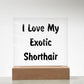 Love My Exotic Shorthair - Square Acrylic Plaque