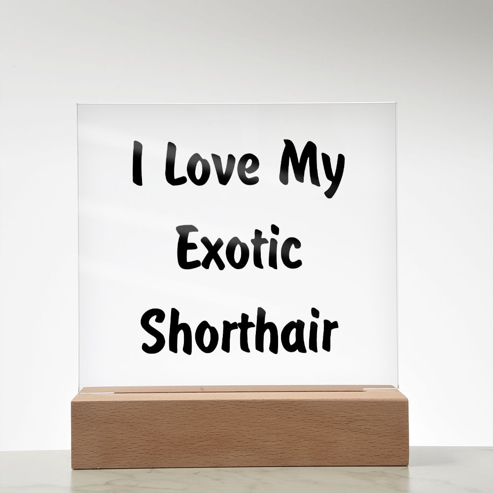 Love My Exotic Shorthair - Square Acrylic Plaque