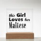 Maltese - Square Acrylic Plaque