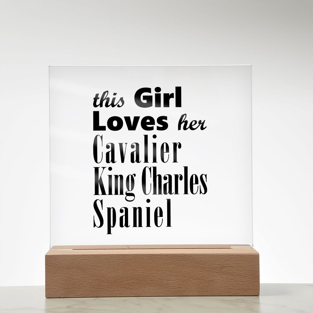 Cavalier King Charles Spaniel - Square Acrylic Plaque