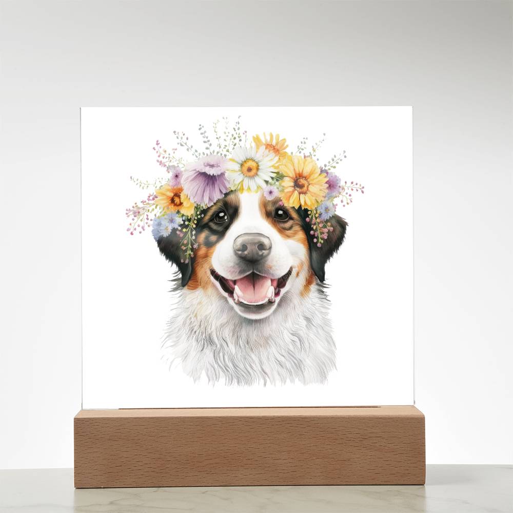 Dog And Spring Flowers (Watercolor) 09 - Square Acrylic Plaque