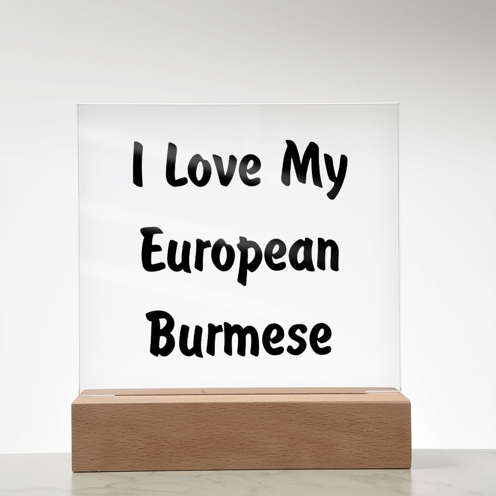 Love My European Burmese - Square Acrylic Plaque