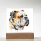 Bulldog (Watercolor) 05 - Square Acrylic Plaque