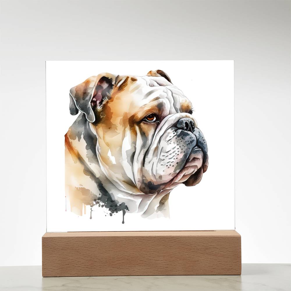 Bulldog (Watercolor) 05 - Square Acrylic Plaque