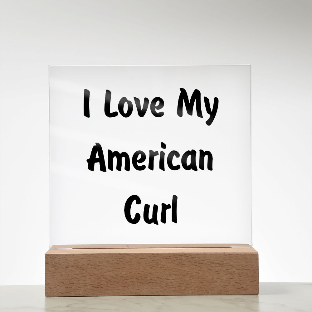 Love My American Curl - Square Acrylic Plaque