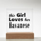 Havanese - Square Acrylic Plaque