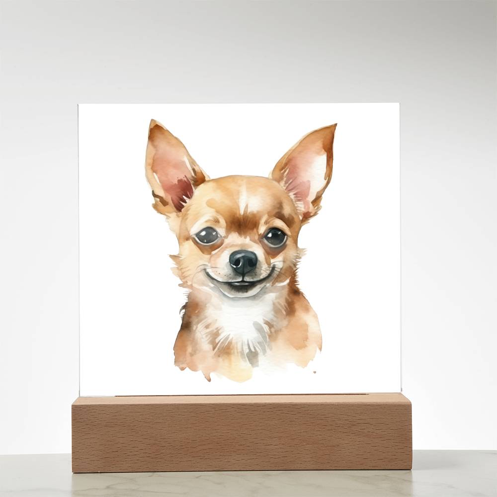 Chihuahua (Watercolor) 04 - Square Acrylic Plaque