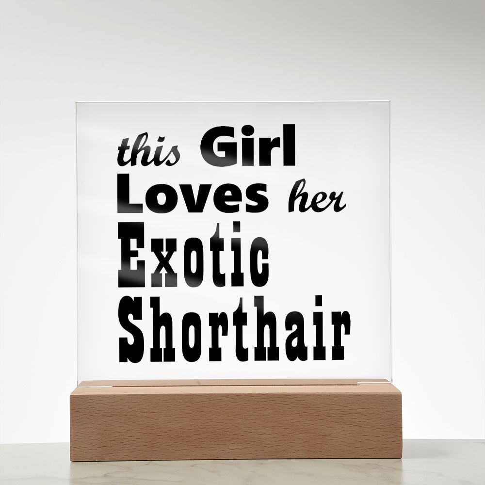 Exotic Shorthair - Square Acrylic Plaque