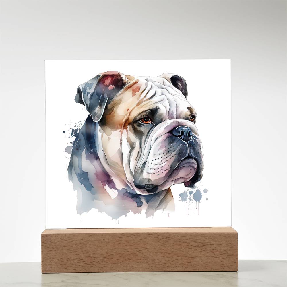 Bulldog (Watercolor) 01 - Square Acrylic Plaque