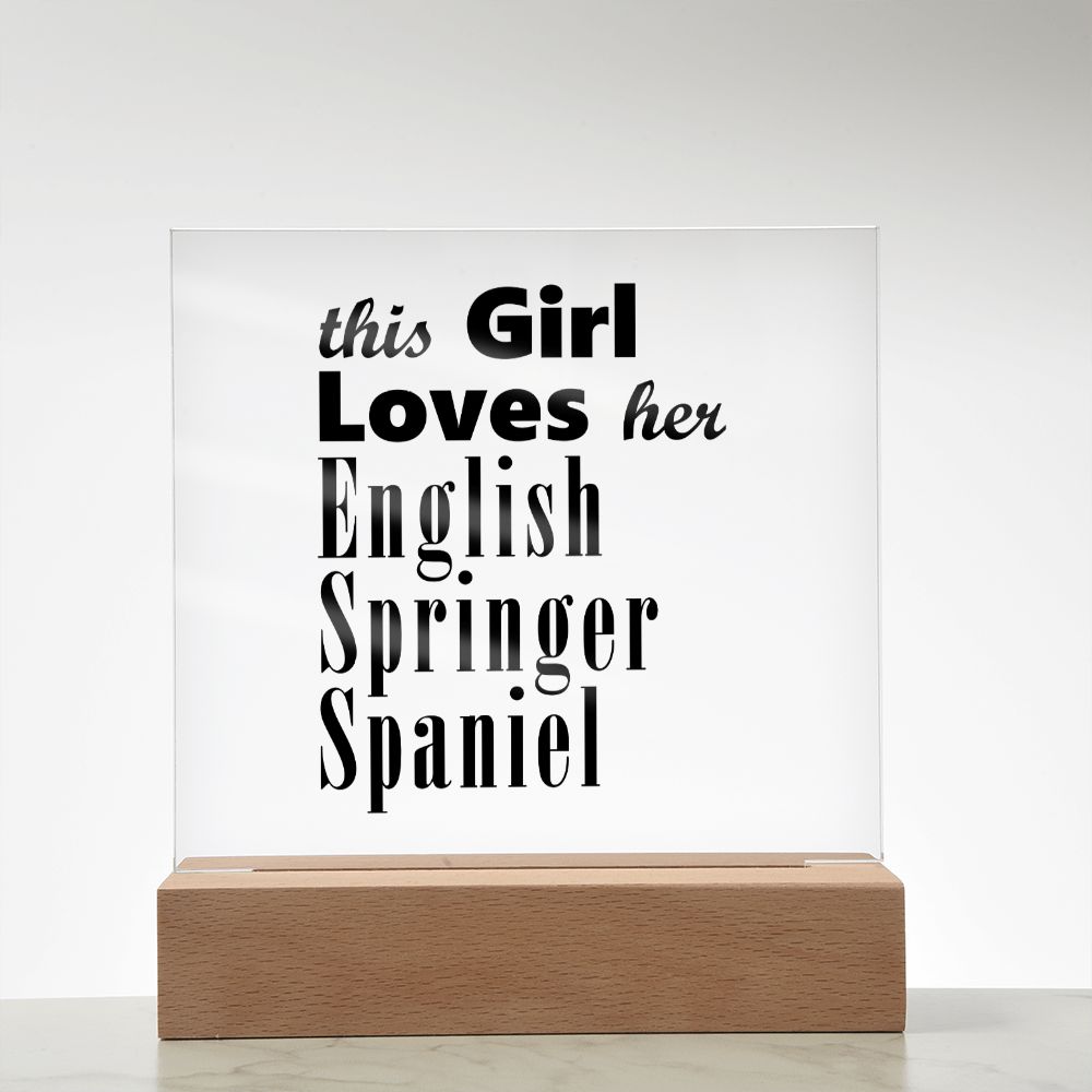 English Springer Spaniel - Square Acrylic Plaque
