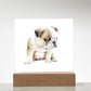 Dog Lover Collection (Watercolor) 03 - Square Acrylic Plaque