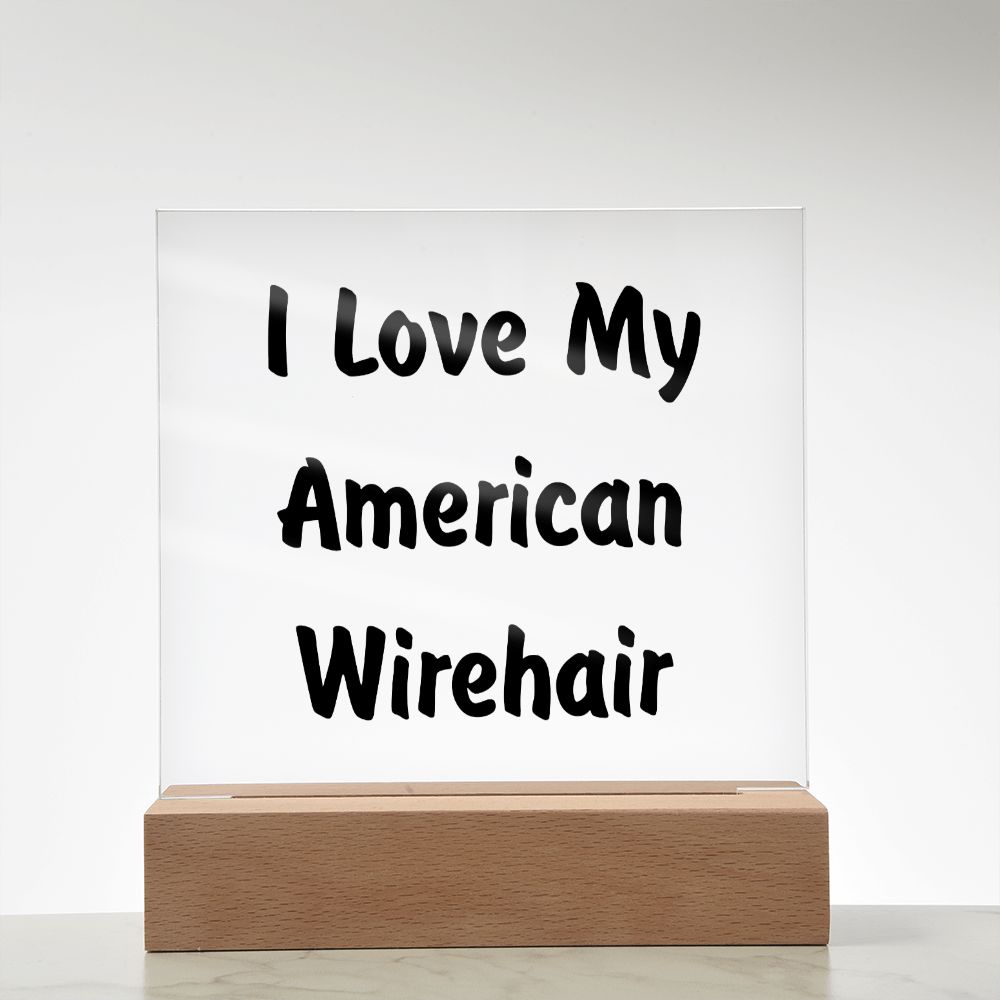 Love My American Wirehair - Square Acrylic Plaque